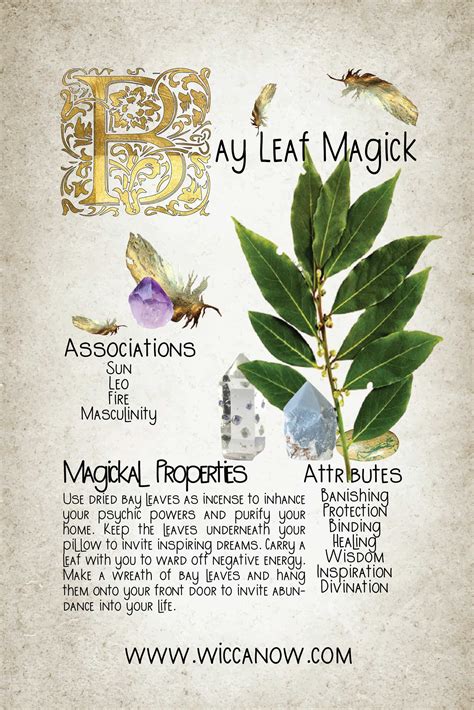 Harnessing the Energy of Maplesrroy Witch Grass Leaves in Rituals and Ceremonies